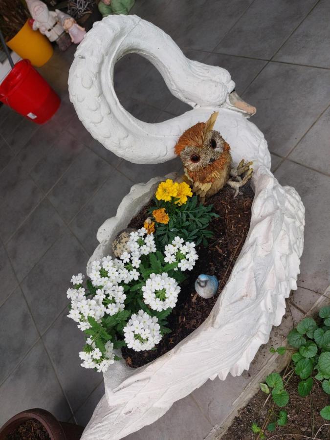 Queen House Apartman Ζάγκρεμπ Εξωτερικό φωτογραφία